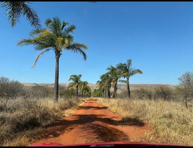 FARM FOR SALE IN DE WILDT